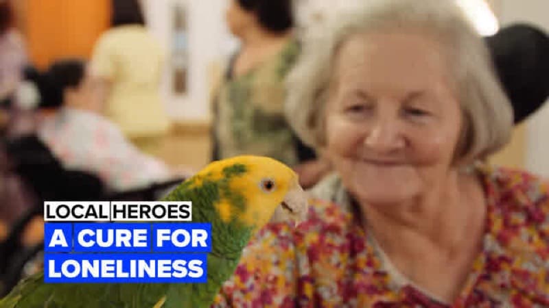 Animal therapy with elderly