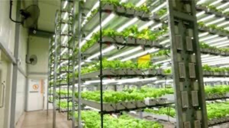 Sustainable agriculture technology